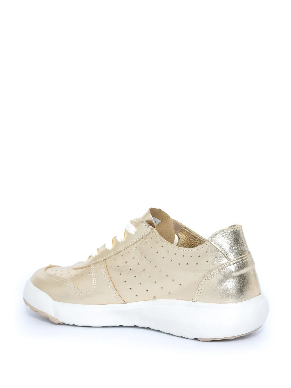 Sarah Chofakian Spotlight Trainers