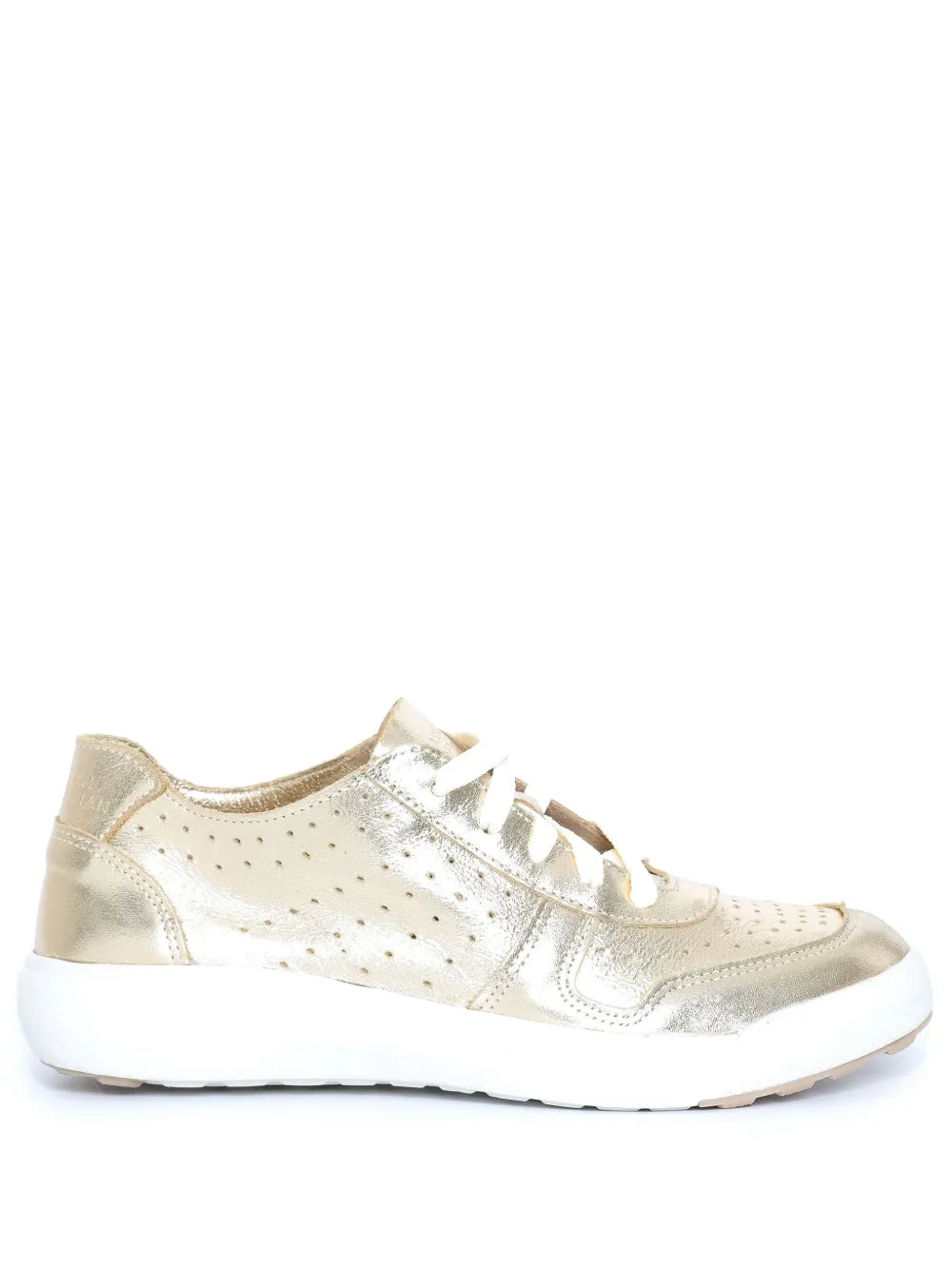 Sarah Chofakian Spotlight Trainers