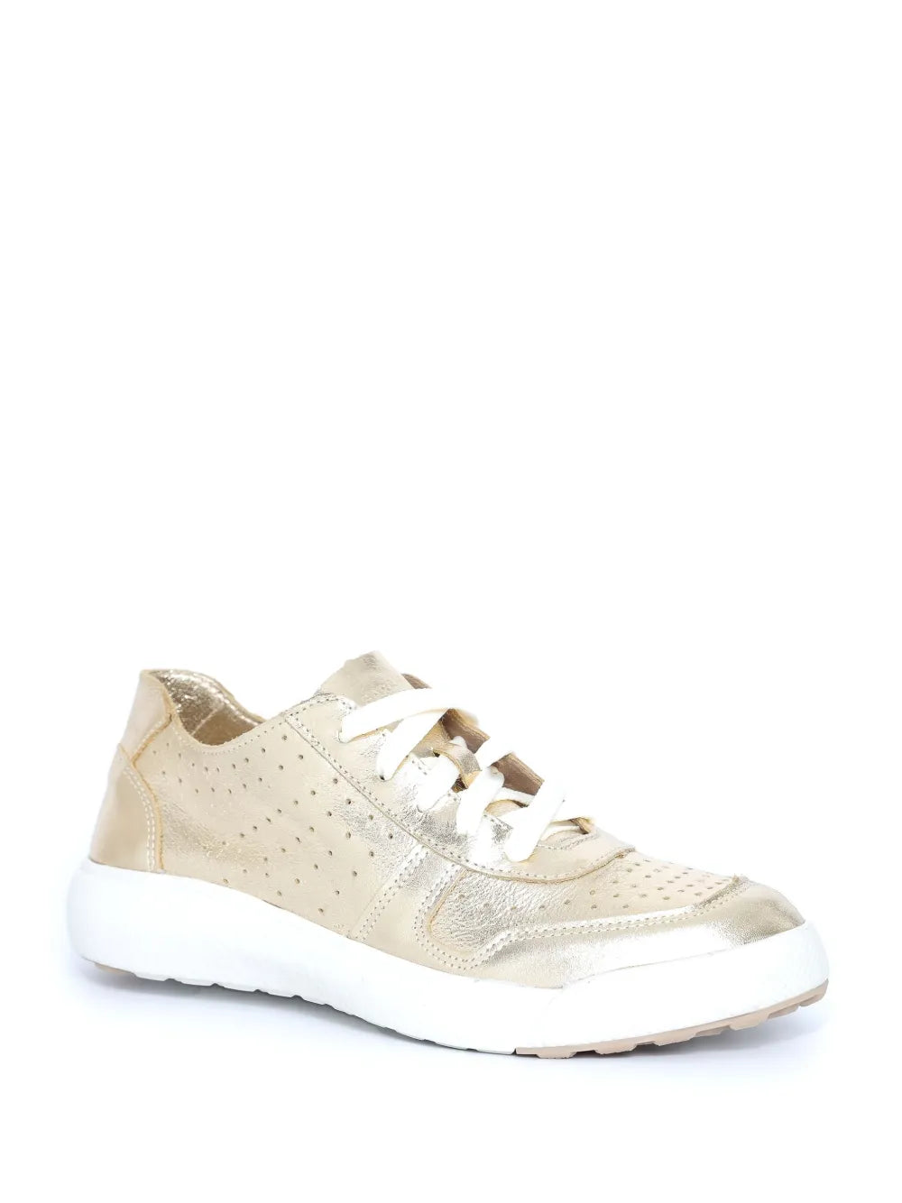 Sarah Chofakian Spotlight Trainers