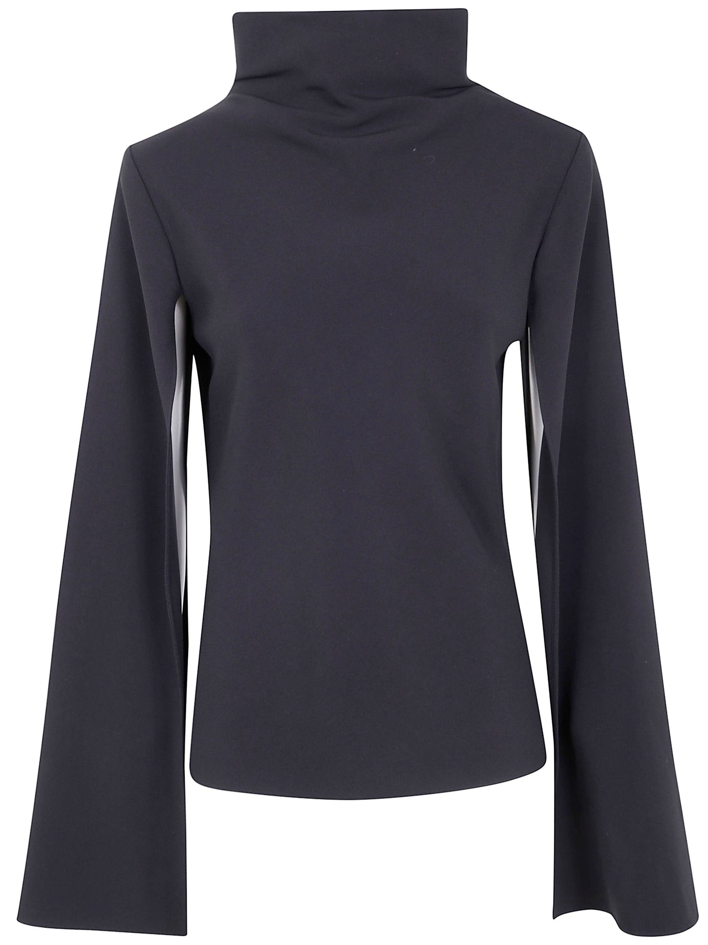 Alberta Ferretti Women Turtle Neck Blouse