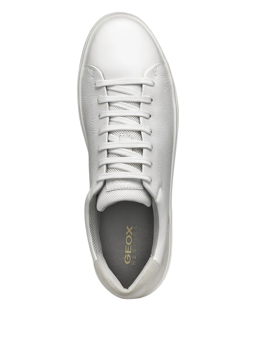 Geox Avola Sneakers