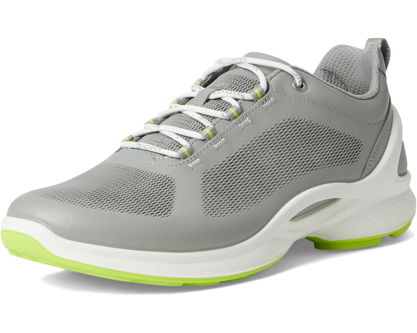 Men's ECCO Sport BIOM FJUEL Zephyr Cross Trainer Sneaker Wild Dove