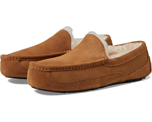Men's UGG Wide Ascot Chestnut