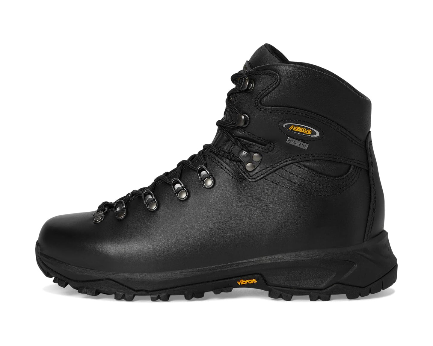 Men's Asolo 520 Winter GV MM Black