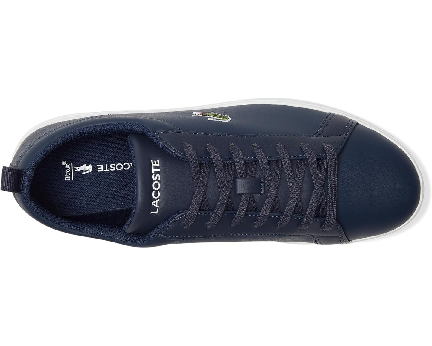 Men's Lacoste Court Base Sneakers Navy/White