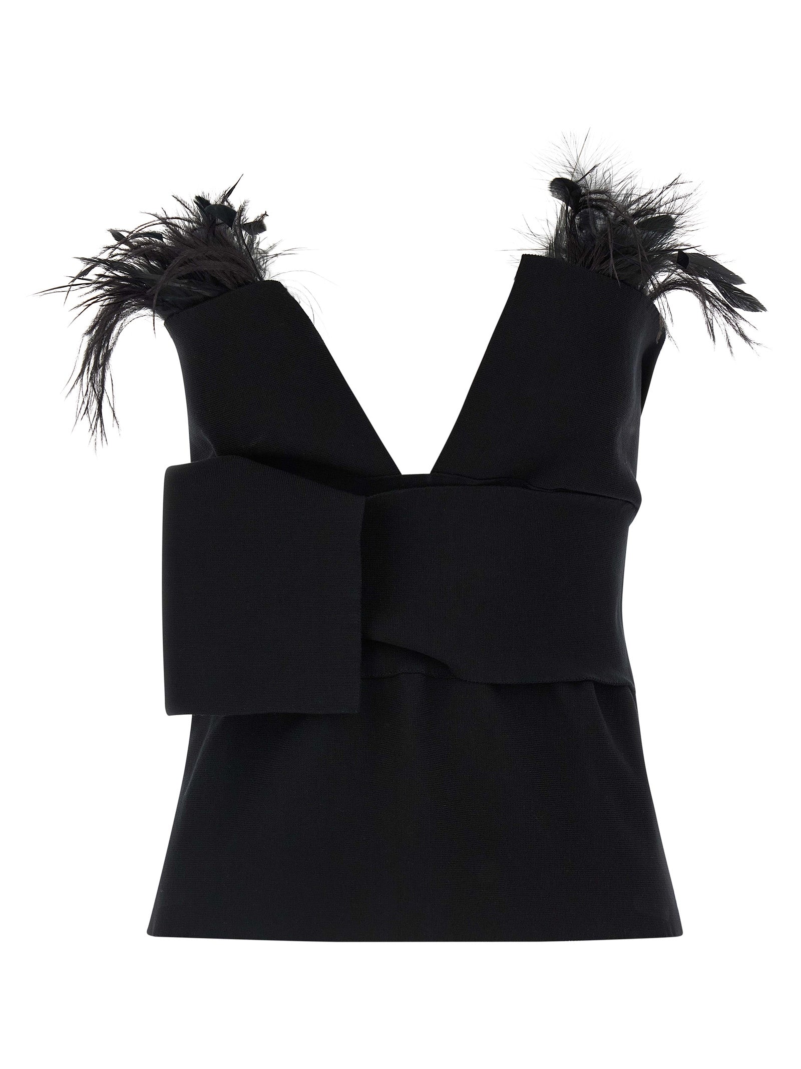 Alberta Ferretti Women Feather Top