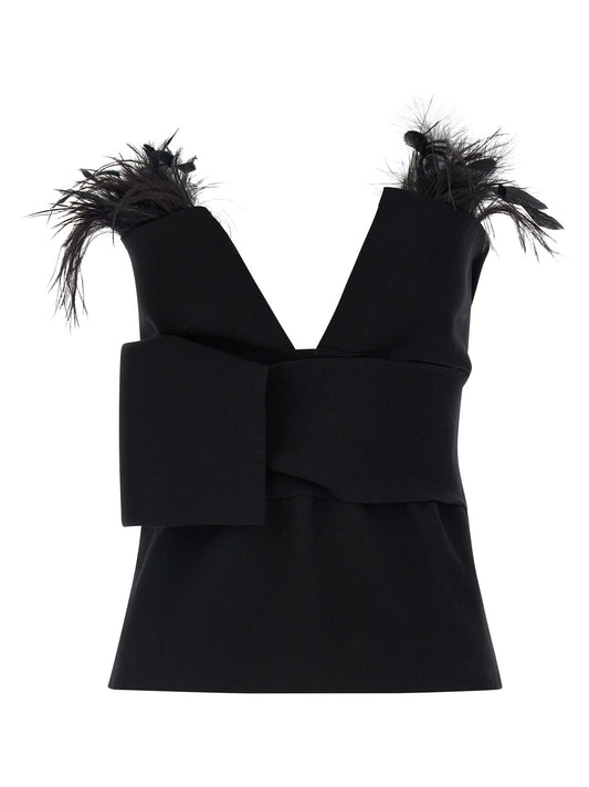 Alberta Ferretti Women Feather Top