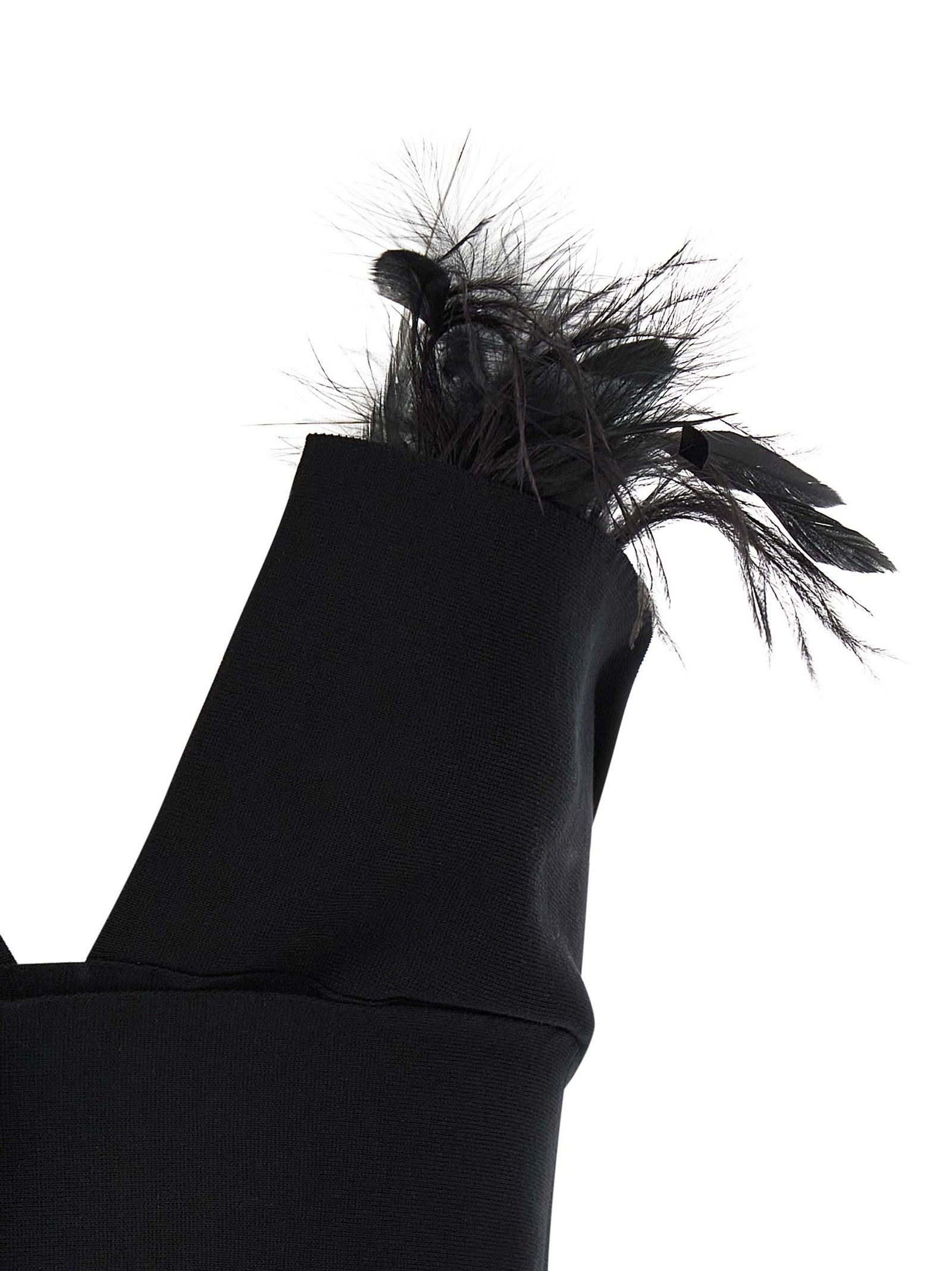Alberta Ferretti Women Feather Top